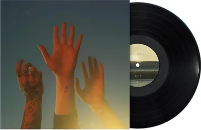 Image de Boygenius - Record (LP)