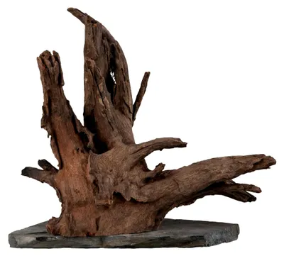 Produktbild von Scaper Wood L 30 - 35 cm - Kompaktes Wurzelholz auf Schieferplatte in zwei Größen