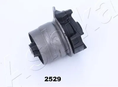 Produktbild von ASHIKA GOM-2529 Achslager für TOYOTA COROLLA (ZZE12, NDE12, ZDE12) Hinten