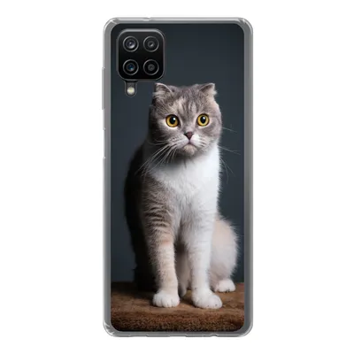 Produktbild von MuchoWow® Handyhülle Schutzhülle Hülle für Samsung Galaxy A12 Katze - Haustiere - Licht Silikon Softcase Handy Hülle - Bild