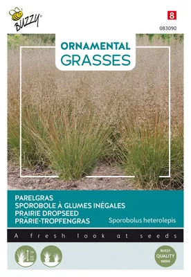 Image de Buzzy Ornamental Grasses Graines d'herbe de prairie - Environ 0,05 gr | Buzzy_083090