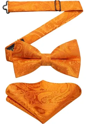 Produktbild von Fliege mit Einstecktuch für Herren, einfarbig, verstellbar, orange