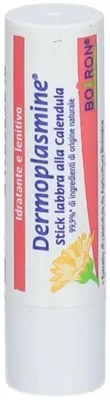 Produktbild von DERMOPLASMINE Lippenbalsam mit Calendula, feuchtigkeitsspendend, 4 g