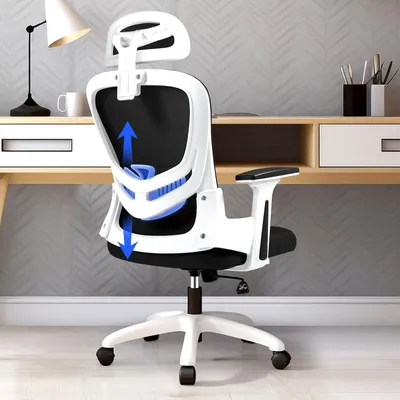 Immagine prodotto di Sedia da ufficio ergonomica - Sedia da ufficio con supporto lombare - Sedia da ufficio con braccioli regolabili