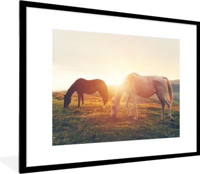 Produktbild von MuchoWow® Gerahmtes Poster Pferde - Sonne - Tiere 80x60 cm - Poster mit Schwarzem Bilderrahmen Wandposter Rahmen Foto Bilder - Schlafzimmer-Dekorationen - Fotoposter