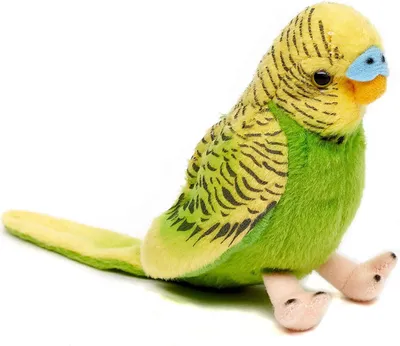 Produktbild von Uni-Toys - Wellensittich (grün) mit zwitschernder Stimme - 12 cm (Höhe) - Plüsch-Vogel - Plüschtier, Kuscheltier