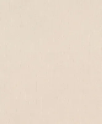 Image de Rasch Florentine III | 484526 | Vliestapete Einfarbig | 0.53 m x 10.05 m | Beige