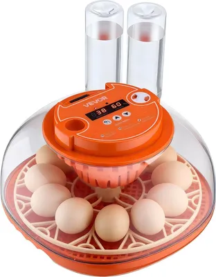 Produktbild von 12 Egg Incubator, Automatic Egg Turner with LED Candler, Temperature & Humidity Control, 360° View Clear Window, Poultry Eggs Incubator for Home Farm, Hatching Chicks Ducks Goose Quail