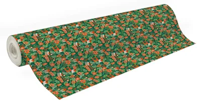 Produktbild von Clairefontaine Geschenkpapier Excellia 80g, Rolle 50x0,70m, Xmas Grün 202117C