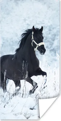 Produktbild von MuchoWow® Poster Pferd - Schnee - Winter 60x120 cm - Wandschmuck