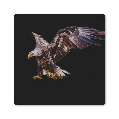 Produktbild von MuchoWow® Mauspad Mousepad Adler - Vogel - Federn 30x30 cm - Mousepads - Maus Mat - Pad - Mausunterlage - Gaming