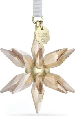 Image de Swarovski ANNUAL EDITION:ORNAMENT FESTIVE 3D 2025 Annual Edition Festive 3D Ornament 2025 Neuheit 2025 5701505