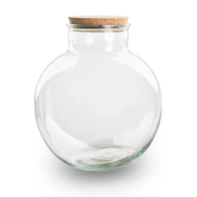 Produktbild von Terrarium Flasche ‘Bolder Bob’ - inkl. (LED) Korken - Geschlossenes Terrarium Ø 30 cm ↑ 31 cm