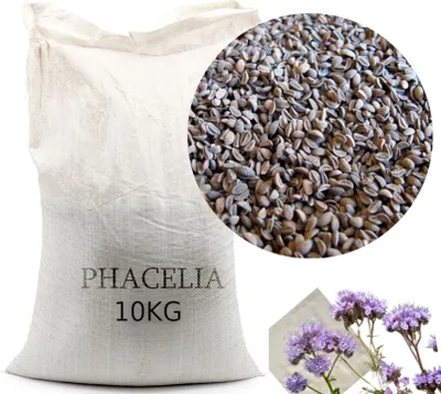 Produktbild von Phacelia Gründünger 10 kg Humusbildung Bodenverbesserung Bienenweide