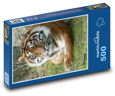Obrázek produktu pro martinpuzzle - Puzzle 500 - Ostražitý tygr