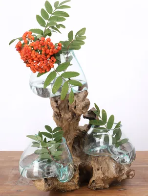 Produktbild von Exotische Wurzelholz Vase mit 3 Gläsern - 3 *Ø Glas bis 10 cm, Braun, Holz,Glas,Wurzelholz, Vasen & Blumentöpfe