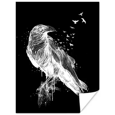 Produktbild von MuchoWow® Poster Krähe - Vogel - Schwarz - Weiß 120x160 cm - Wandbilder