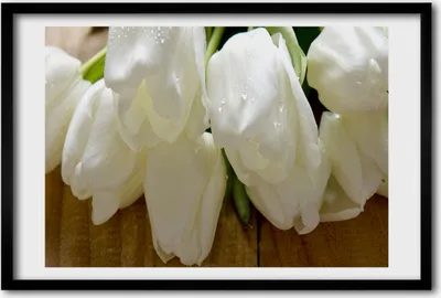 Produktbild von Bild 60x40 MDF-Rahmen, Wandkunst weiße Tulpen