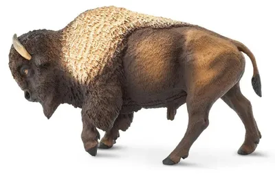 Produktbild von Safari Ltd Nordamerikanischer Bison Figur Braun From 3 Years Kinder Braun From 3 Years