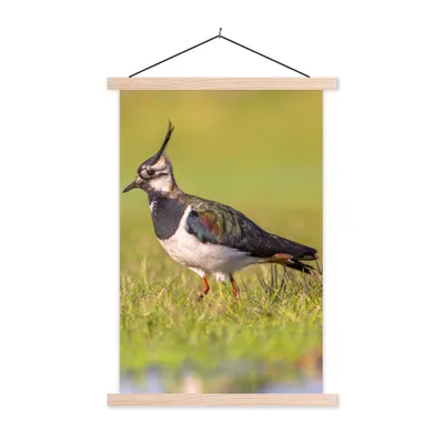 Produktbild von MuchoWow® Textilposter Vogel - Gras - Natur - Tiere - Kiebitz 60x90 cm mit holzfarbenen Rahmen - Textil