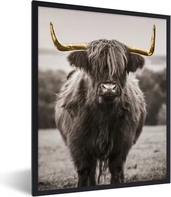 Produktbild von MuchoWow® Gerahmtes Poster Schottischer Highlander - Horn - Gold 60x80 cm - Poster mit Schwarzem Bilderrahmen Wandposter Rahmen Foto Bilder - Premium - Wanddeko Wohnzimmer