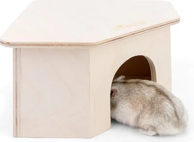 Produktbild von Niteangel Birkenkammer Hamsterversteck Holz Deko für Hamster Mäuse