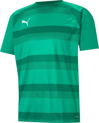 Obrázek produktu pro PUMA teamVISION Trainingsshirt Herren peppergreen/powergreen/white S