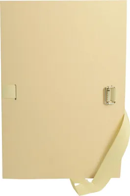 Image de Exacompta 10x Chemises dos extensible format folio papier mastic Mastic 320E