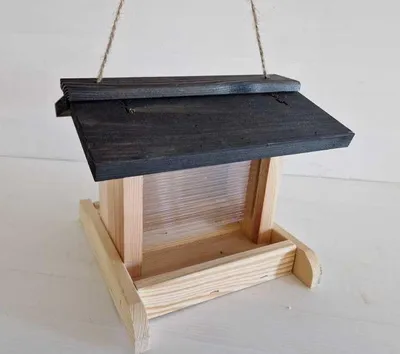 Produktbild von Vogelhaus Emma mit Plexiglasscheibe aus Holz natur