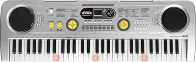 Produktbild von REIG Orgel 61 Tasten + Mikrofon