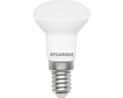 Produktbild von LED Reflektorlampe matt R39 E14/2,9W(25W) 250 lm 6500 K tageslichtweiß 865