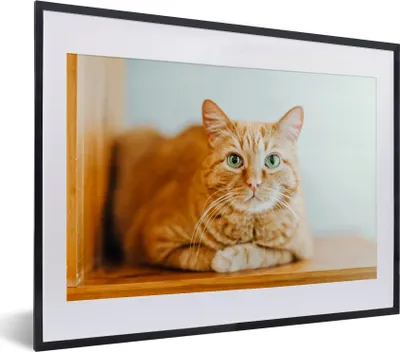 Produktbild von MuchoWow® MuchoWow® Gerahmtes Poster Katze - Holz - Schrank 40x30 cm - Poster mit zchwarzem Bilderrahmen - Bilderrahmen - Poster im Rahmen