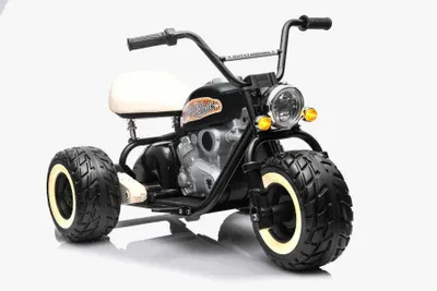 Obrázek produktu pro Elektrická dětská motorka 2x800W střídavé motory - 24V7A - černá
