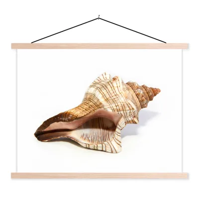 Produktbild von MuchoWow® Textilposter Muschel - Weiß - Meer 60x45 cm mit holzfarbenen Rahmen - Bild