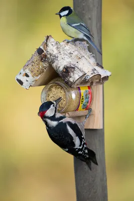Artikelbild 1 von 'Holz-Halterung für Futterglas' aus der Kategorie Futterspender