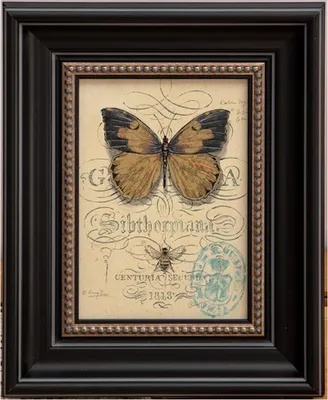 Productafbeelding van INF Vintage Zilver Zwart Hars Fotolijst - Retro Foto Display voor Tafelblad & Wanddecoratie 8 inch