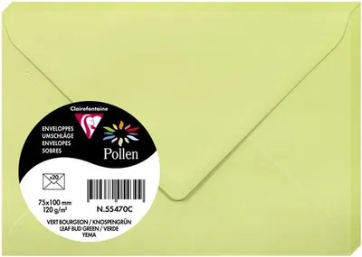 Obrázok produktu pre Pollen by Clairefontaine obálka mini, zelená