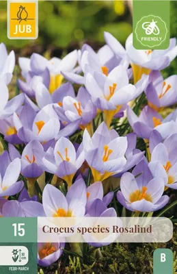 Productafbeelding van Crocus rosalind 15st JUB