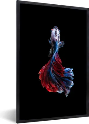 Produktbild von MuchoWow® Gerahmtes Poster Fisch - Schwanz - Schwarz 40x60 cm - Poster mit Schwarzem Bilderrahmen Wandposter Rahmen Foto Bilder - Papierdruck - Wandbilder