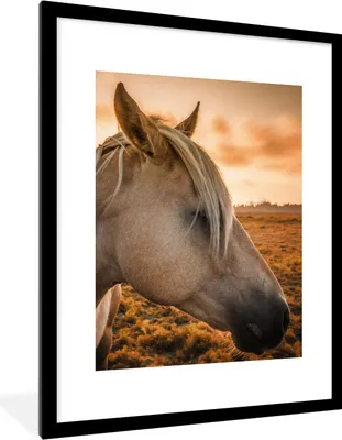 Produktbild von MuchoWow® Gerahmtes Poster Pferd - Tiere - Porträt 60x80 cm - Poster mit Schwarzem Bilderrahmen Wandposter Rahmen Foto Bilder - Wohnzimmer - Dekorationen - Prämie