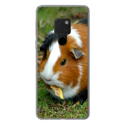 Produktbild von MuchoWow® Handyhülle Schutzhülle Hülle für Huawei P40 Lite Meerschweinchen draußen Silikon Softcase Handy Hülle - Handy