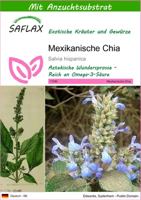 Produktbild von SAFLAX - Mexikanische Chia - Salvia hispanica - 500 Samen - Mit keimfreiem Anzuchtsubstrat
