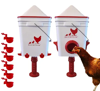 Futterautomat & Tränke-Set, 20 lbs, 5 Gallonen, mit Näpfen & Nippeln