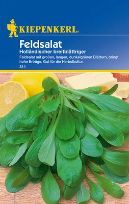 Produktbild von Feldsalat Holländischer breitblättriger | Feldsalatsamen von Kiepenkerl