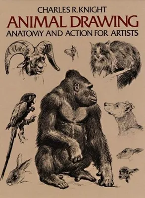 Productafbeelding van Animal Drawing