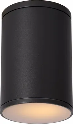 Zdjęcie produktu dla Spot sufitowy tarasowy IP54 E27 24W TUBIX Lucide