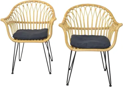 Produktbild von Rattan-Armlehnstuhl mit Sitzkissen im 2er-Set, Naturfarben