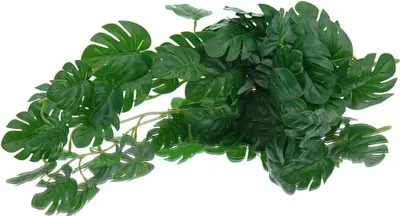 Produktbild von GASPER Mini-Monstera - Splitphilodendron Grün 48 cm - Kunstpflanzen