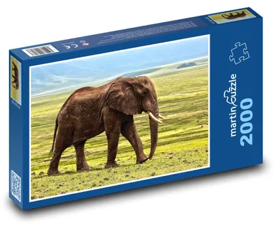 Zdjęcie produktu dla Puzzle 2000 Słoń na wolności - martinpuzzle