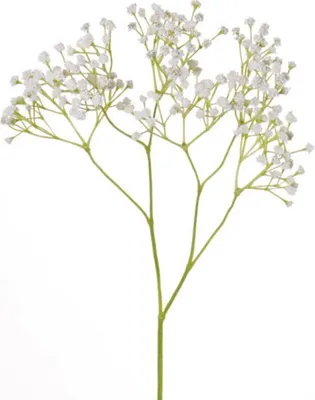 Produktbild von Kunstliche Blumen Gypsophila Zweige weis 58 cm